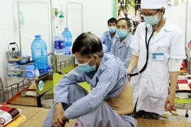 (Ảnh minh họa. Dương Ngọc/TTXVN)