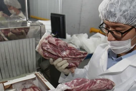 (Ảnh minh họa. Nguồn: Yonhap/TTXVN)