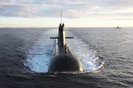 Ảnh minh họa. (Nguồn: mercopress.com)