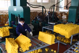 Malaysia muốn Việt Nam sớm gia nhập Hội đồng Cao su ba bên