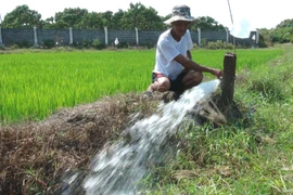 (Ảnh minh họa. Nguyên Lý/TTXVN)