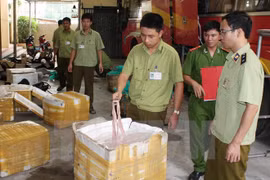 (Ảnh minh họa. Hải Yến/TTXVN)