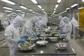 Chế biến thủy sản xuất khẩu tại Công ty thủy sản Trung Sơn. (Ảnh: Bùi Như Trường Giang/TTXVN)