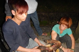 Quảng Bình khởi tố vụ án vi phạm quy định bảo vệ động vật quý