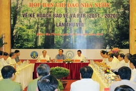 Tập trung ưu tiên 4 nhiệm vụ trọng tâm để bảo vệ, phát triển rừng