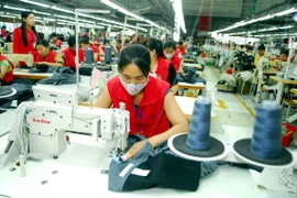 Sản xuất hàng may mặc xuất khẩu tại Công ty TNHH Seyoung Inc (100% vốn đầu tư của Hàn Quốc) tại Khu công nghiệp Lương Sơn (Hòa Bình). (Ảnh: Danh Lam/TTXVN)
