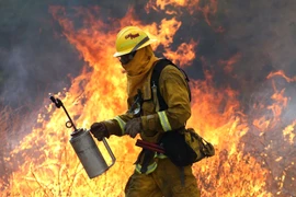 Lính cứu hỏa làm nhiệm vụ tại hiện trường vụ cháy gần Clearlake, California. (Nguồn: AFP/TTXVN)