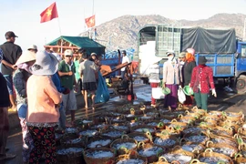 Hải sản đánh bắt trên biển được đưa lên bờ tiêu thụ. (Ảnh: Công Thử/TTXVN)