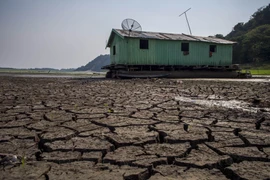 Hồ Aleixo ở Manaus, Amazonas, Brazil nứt nẻ do hạn hán. (Nguồn: AFP/TTXVN)