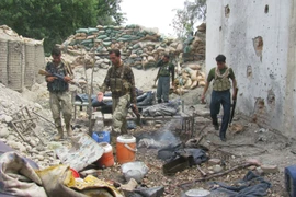 Ảnh minh họa. (Nguồn: THX/TTXVN)