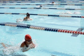 (Ảnh minh họa. Lê Lâm/TTXVN)