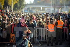Ảnh minh họa. (Nguồn: AFP/TTXVN)