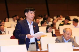 Đại biểu Quốc hội tỉnh Hà Tĩnh Nguyễn Văn Phúc chất vấn tại hội trường. (Ảnh: Doãn Tấn/TTXVN)