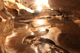 (Ảnh minh họa. Trường Giang/TTXVN)