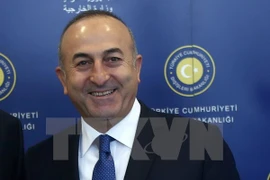 Thổ Nhĩ Kỳ trục xuất 1.200 người muốn gia nhập IS tại Syria