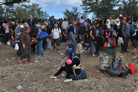 Người di cư vào châu Âu. (Nguồn: AFP/TTVXN)