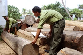 Đắk Nông: Lâm tặc dùng dao, gậy tấn công lực lượng kiểm lâm