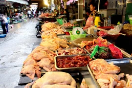 (Ảnh minh họa. Đình Huệ/TTXVN)