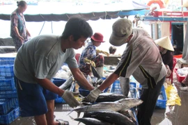 (Ảnh minh họa: Nguyên Lý/TTXVN)