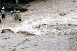 (Ảnh minh họa. Quốc Hùng/TTXVN)