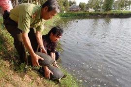 Thả các động vật hoang dã về Vườn quốc gia U Minh Thượng. (Ảnh: Đình Huệ/TTXVN.)