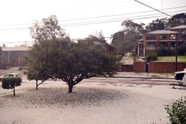 Trận mưa đá lâu nhất trong hơn 30 năm qua tại thành phố Sydney