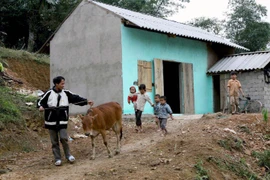 (Ảnh minh họa. Dương Ngọc/TTXVN)