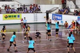 Sôi động ngày hội giao lưu văn hóa thể thao Việt-Hàn lần thứ 10