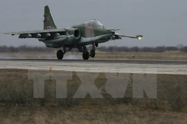 Máy bay Su-25 của không quân Nga. (Ảnh minh họa. Nguồn: AFP/TTXVN)