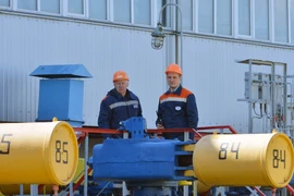 Công nhân vận hành một trạm bơm thuộc đường ống dẫn khí đốt tại thị trấn Boyarka ở Kiev, Ukraine. (Nguồn: AFP/TTXVN)