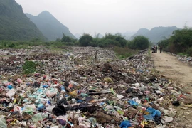 Đảo Hòn Tre mất mỹ quan trong mắt du khách vì rác thải