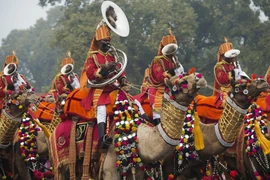 Kỷ niệm lần thứ 66 Ngày Cộng hòa Ấn Độ tại TP Hồ Chí Minh