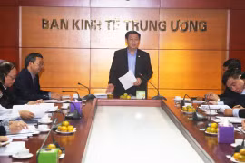 Tham vấn chuyên gia về dự án cảng hàng không Long Thành