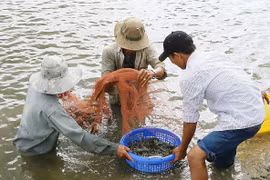 (Ảnh minh họa. Chanh Đa/TTXVN)