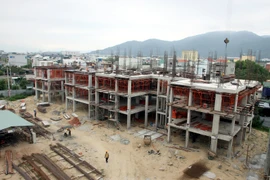 (Ảnh minh họa. Tuấn Anh/TTXVN)