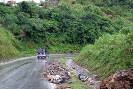 (Ảnh minh họa. Đức Hiếu/TTXVN)