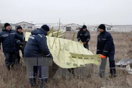 Hà Lan bác tin máy bay MH17 bị tên lửa Nga bắn hạ ở Ukraine