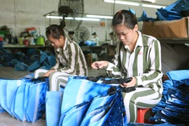 Phạm nhân tích cực lao động cải tạo tốt được xét đặc xá năm 2015. (Ảnh minh họa. Doãn Tấn/TTXVN)