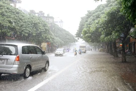 (Ảnh minh họa. Lan Anh/TTXVN)