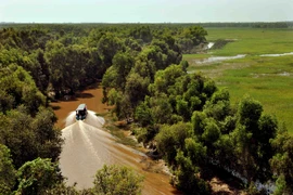 (Ảnh minh họa. An Hiếu/TTXVN)