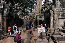 Du khách tham quan đền Ta Phrom, một phần của Angkor Wat. (Nguồn: AFP/TTXVN)