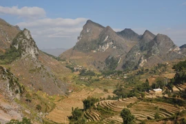 Một góc cao nguyên đá Đồng Văn. (Ảnh: Thanh Hà/TTXVN)