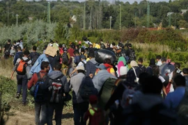 Người di cư tại khu vực biên giới Hungary-Croatia. (Nguồn: Reuters/TTXVN)