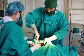 Lào Cai: Nối thành công động mạch tay bị đứt do khỉ độc cắn