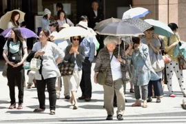 Nắng nóng tại Tokyo, Nhật Bản. (Nguồn: Kyodo/TTXVN)