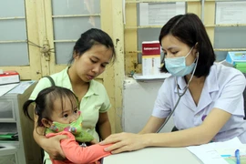 (Ảnh minh họa. Tá Chuyên/TTXVN)