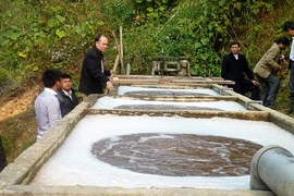 Việt Nam tham gia dự án về quan trắc chất hữu cơ khó phân hủy