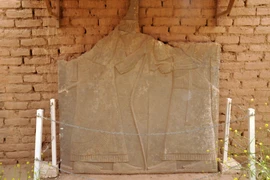 Ảnh minh họa. (Nguồn: AFP/TTXVN)