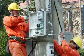 (Ảnh minh họa. Ngọc Hà/TTXVN)