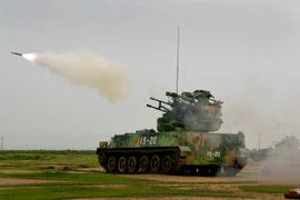 Ảnh minh họa. (Nguồn: THX/TTXVN)